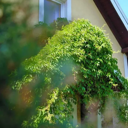 Tatil Evi Pucka Bryza